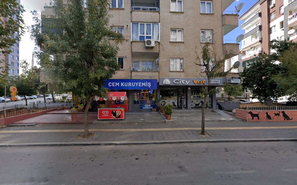 City Vet Veteriner Kliniği